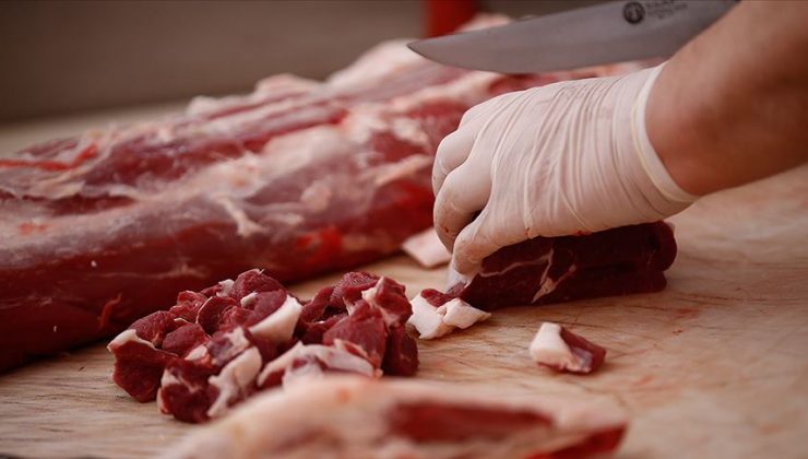 Hollanda’nın Haarlem kenti et ürünü reklamlarını yasaklıyor