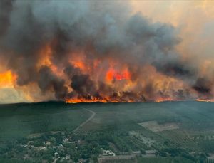 Fransa’da Gironde vilayetindeki yangında 3 bin hektardan fazla yeşil alan yandı