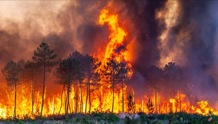 Şili’deki orman yangınları 13 can aldı