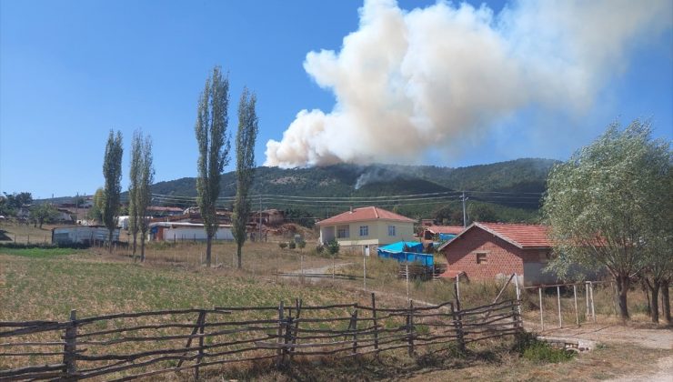 Eskişehir ve Balıkesir’de orman yangınları