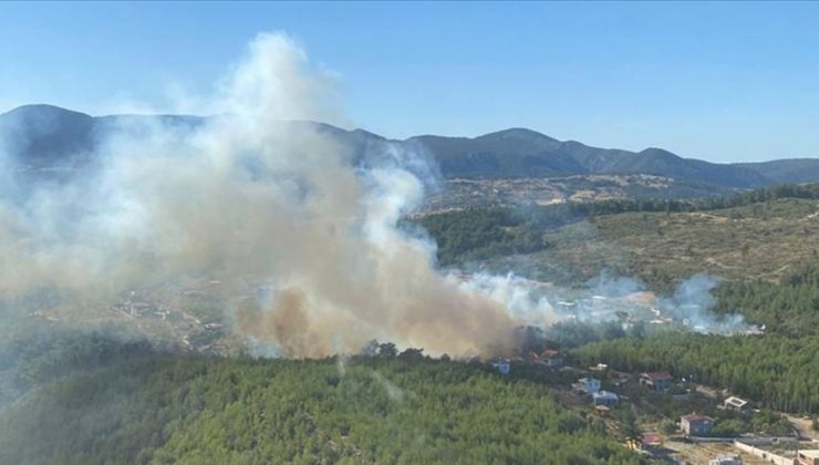 İzmir’de orman yangını çıktı