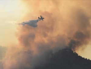 Muğla’daki orman yangını kontrol altına alındı