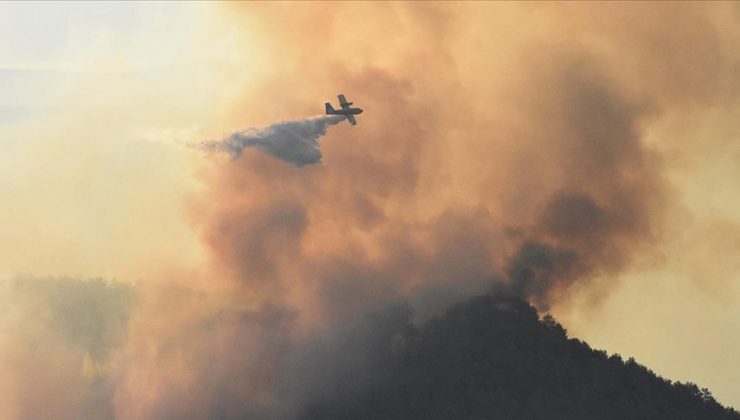 Muğla’daki orman yangını kontrol altına alındı