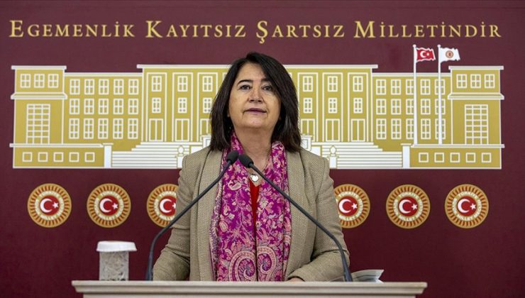 HDP’li Pekgözegü’den TBMM’de tehdit! Sonunuz Saddam gibi olacak