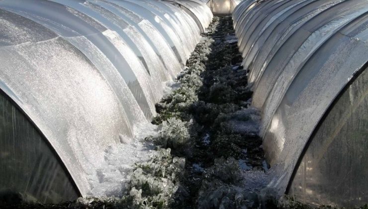 NJ’de sezonun en soğuk gecesi yolda