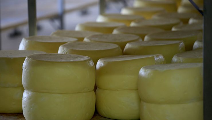 Peynir satışı düzenlemesiyle ‘kaşar’ adıyla satılamayacak: ‘Taklit çok fazla’