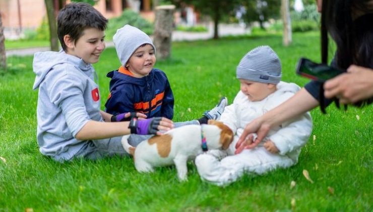 Hayvan sevgisinin çocuklar üzerindeki etkisi