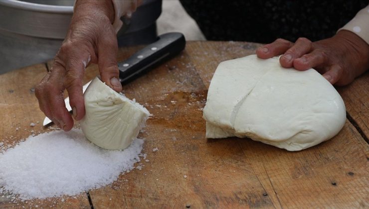 İki şehrin peynir rekabeti