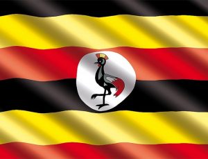 Uganda’da okul yangınında 11 kişi hayatını kaybetti