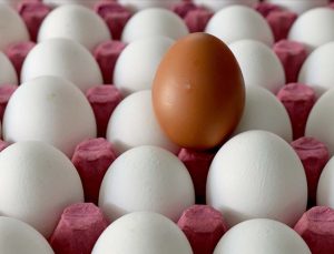 Salgını ve enflasyon, ABD’de yumurta fiyatlarını uçurdu