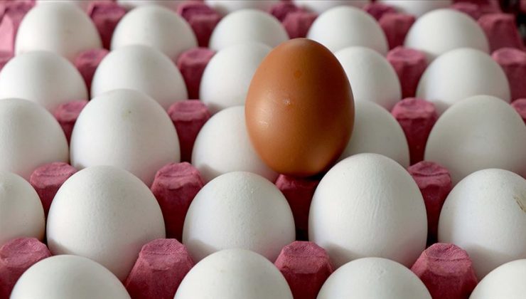 Salgını ve enflasyon, ABD’de yumurta fiyatlarını uçurdu