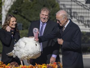 ABD Başkanı Biden, Şükran Günü için hazırlanmış iki hindiyi affetti
