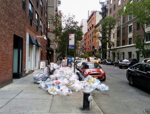 New York, çöpteki farelere “Yasayla” savaş açtı!