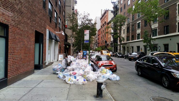 New York, çöpteki farelere “Yasayla” savaş açtı!