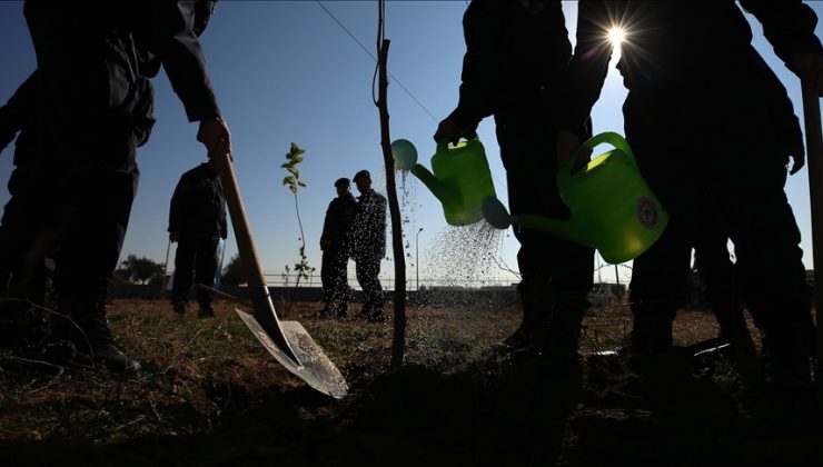 Fidanlar toprakla buluşturuldu