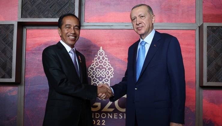 Cumhurbaşkanı Erdoğan, Endonezya Devlet Başkanı Widodo ile görüştü