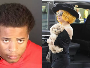 Lady Gaga’nın köpeklerini kaçıran adama 21 yıl hapis cezası