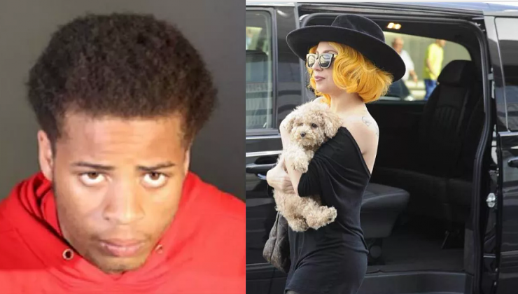 Lady Gaga’nın köpeklerini kaçıran adama 21 yıl hapis cezası