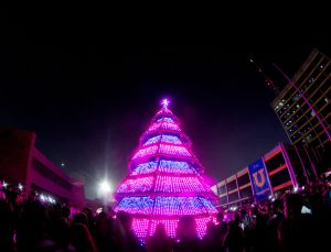 Lübnanlı aktivistlerden çok farklı “Noel ağacı”