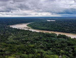 Amazonlar’da 2022’de yaşanan orman kayıpları