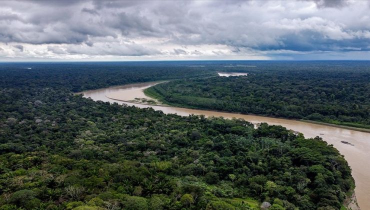 Amazonlar’da 2022’de yaşanan orman kayıpları