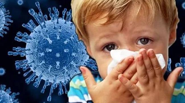 Avusturya’da 2 çocuk gripten hayatını kaybetti
