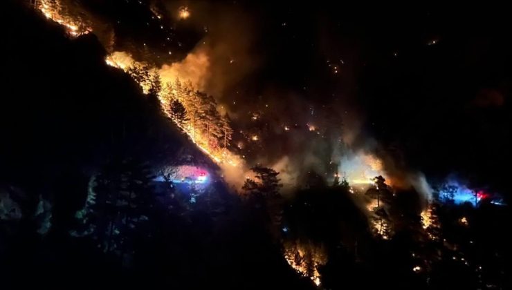 Alanya’da orman yangını! Vatandaşlar tahliye edildi