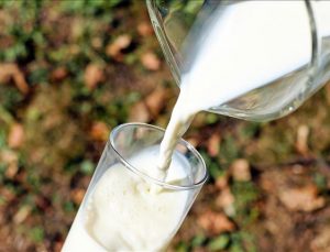 Üretici birlikleri 4 kentte süt fiyatına zam yaptı