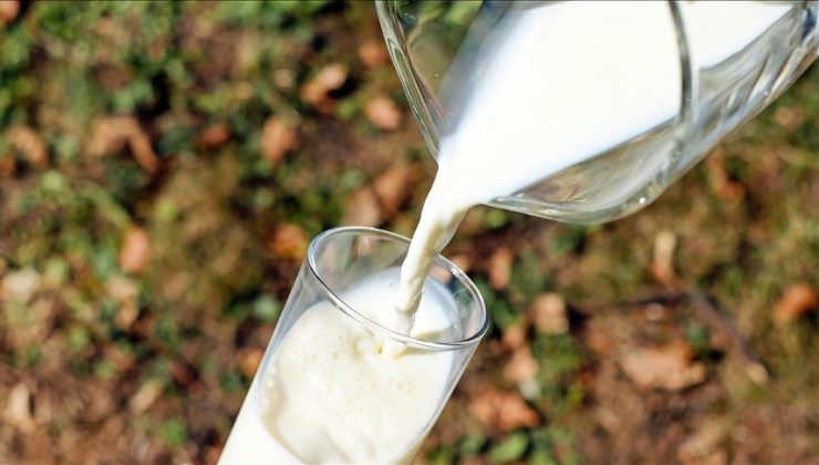 Süt üreticilerine 2023-2024’te verilecek destek belli oldu