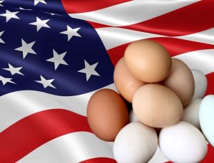 ‘Yumurta enflasyonu’ ABD’de hız kesmiyor