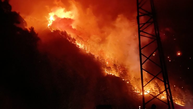 Alanya’da orman yangını başladı