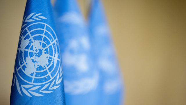 BM raportörlerinden İslam karşıtlığı uyarısı