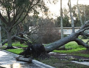 Kasırganın vurduğu Yeni Zelanda’da acil durum ilanı