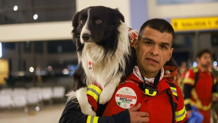 Meksika ünlü arama kurtarma Türkiye’ye köpeklerini gönderdi