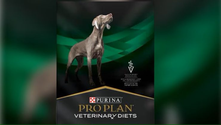 Köpeklerde böbrek yetmezliğine neden olan mama geri çağrıldı