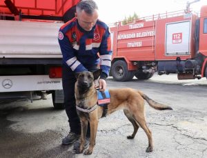 Arama kurtarma köpeği Rita, deprem bölgesinde 3 kişi ile bir kediyi kurtardı