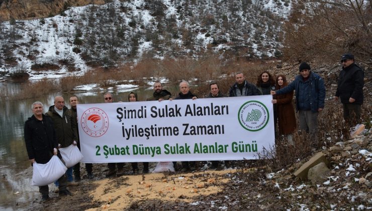 Su kuşları için baraj gölü kıyısına yem bıraktılar