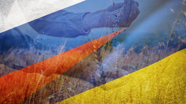 AB, 5 ülkenin Ukrayna’dan tahıl ithalatı kısıtlamasını uzattı