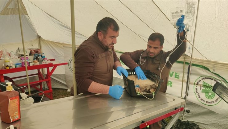 Deprem bölgesine hayvanlar için yem ve mama sevkiyatı sürüyor