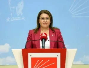 CHP’li Karaca: Nükleer enerji santrallerini iptal edeceğiz