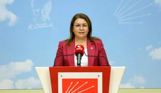 CHP’li Karaca: Nükleer enerji santrallerini iptal edeceğiz