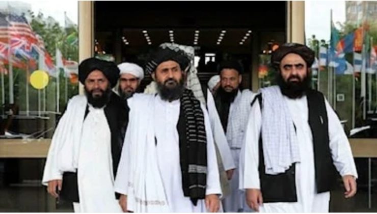 Taliban’dan kenevir kararı