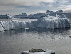 Bilim insanlarından Antarktika buzu alarmı