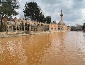 Balıklar Balıklıgöl’e geri döndü