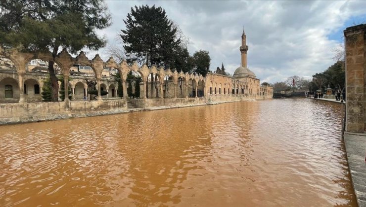 Balıklar Balıklıgöl’e geri döndü