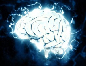 Bilim insanları beyindeki iç pusulanın nasıl çalıştığını tespit etti