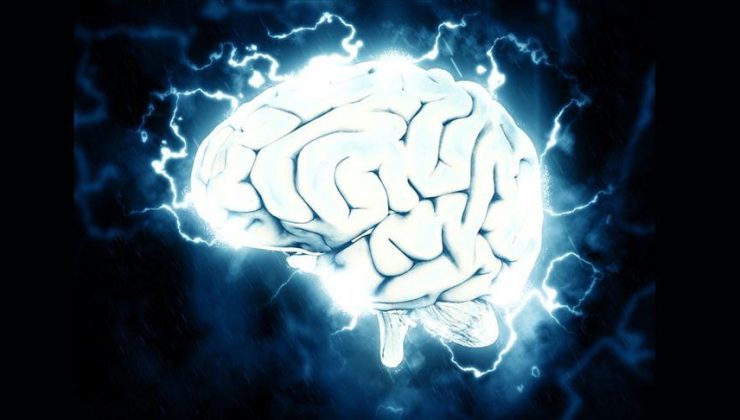 Bilim insanları beyindeki iç pusulanın nasıl çalıştığını tespit etti