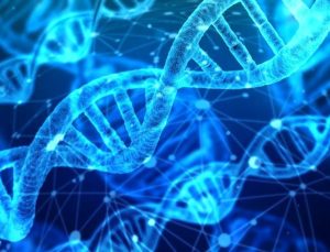 Kişiye özel diyet: DNA diyeti! DNA diyeti nedir?