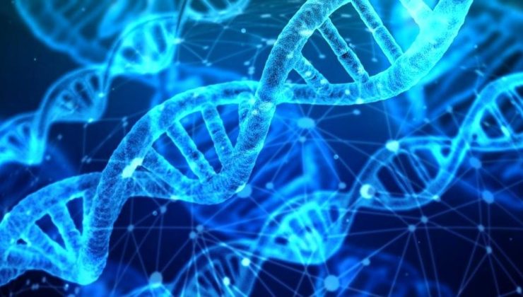 Kişiye özel diyet: DNA diyeti! DNA diyeti nedir?