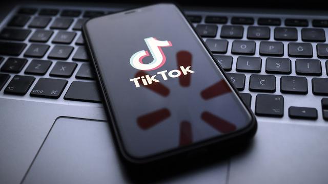 Avusturya, TikTok uygulamasının kamuya ait cep telefonlarında kullanılmasını yasakladı